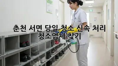 춘천 서면 당일 청소? 신속 처리 청소업체 찾기!