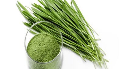 10kg 새싹모듬채소 득템 후기! 🥬🥦🥕 할인 정보까지 싹 다 알려드릴게요!